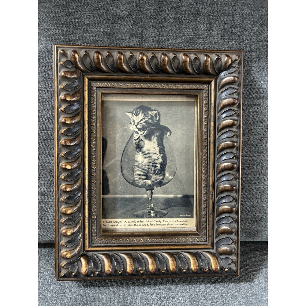 Vintage‎ Cat Ephemera Newspaper Magazine Clipping Framed Art